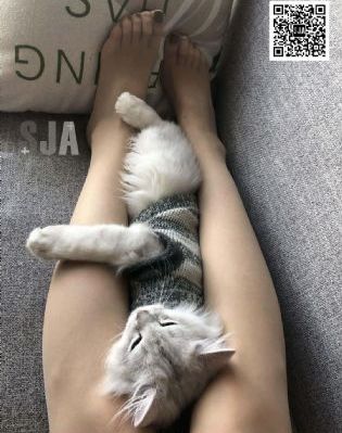 久久网站电影_神马影院手机在线观看
