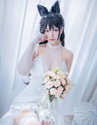 欧美牲交av高清_HDBD在线观看